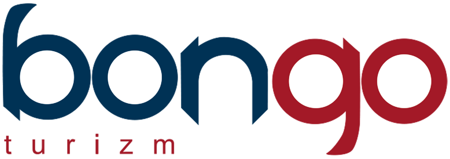 Bongo Travel Transfer
